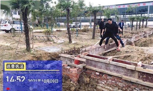 责令恢复土地原貌,复耕复绿 邓州某工厂违规强建 抢建被处理